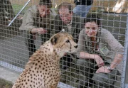 Vergeblich versucht Cheftierpfleger Conny (Thorsten Wolf, links) die kranke Gepardin mit einem besonders schönen Stück Fleisch zum Fressen zu bewegen. Zootierärztin Dr. Susanne Mertens (Elisabeth Lanz) wird den Zahn wohl ziehen müssen, um Dr. Fährmanns (Michael Lesch) Zuchtprogramm nicht zu gefährden.