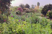 Monets zweite Leidenschaft neben der Malerei waren die Pflanzen: In seinem Garten in Giverny begann Monet zunächst allein, später unterstützt von einer Handvoll Gärtner, seine Motive selbst zu erschaffen.