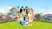 L-R: Bingo, Bandit, Bluey, Chilly