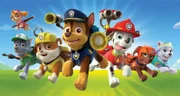 Die Welpen (v.l. oben) Skye, Rocky, Rubble, Chase, Marshall, Zuma und Everest sind mit Herz und Cleverness stets dabei, wenn Rettungsmissionen von Nöten sind. Mit ihren unterschiedlichen Fähigkeiten können sie jedes Problem lösen.