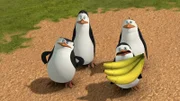 L-R: Skipper, Kowalski, Private, Rico