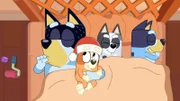 L-R: Bandit, Bingo, Muffin, Bluey