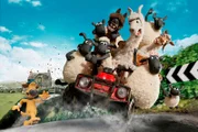 Es gibt Zuwachs auf dem Bauernhof von Shaun und seinen Freunden: Der Farmer bringt drei stolze Lamas vom Markt mit nach Hause. Klar, dass Shaun seine Finger dabei im Spiel hatte, denn die Jungs scheinen richtig gut drauf zu sein! Aber die Begeisterung der Bauernhofbewohner schwindet schnell. Bald machen sich die drei Lamas überall breit, ärgern Timmy und nerven mit ihrem schlechten Benehmen die Schafe – bis auf Shaun. Der amüsiert sich köstlich über ihre Späße und merkt nicht, dass seine neuen Freunde den Hof in große Gefahr bringen. Wird Shaun das wahre Wesen der Lamas erkennen, bevor es zu spät ist? - Die Neuankoemmlinge stellen den Hof auf den Kopf