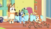 L-R: Chilli, Bluey, Bingo