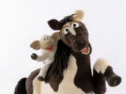 Schaf Wolle auf dem Pferd. Allgemeines Motiv.