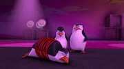 L-R: Rico, Private, Skipper