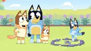 L-R: Chilli, Bandit, Bingo und Bluey