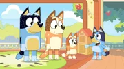 L-R: Bandit, Chilli, Bingo, Bluey