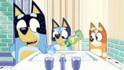 L-R: Bandit, Bluey, Chilli