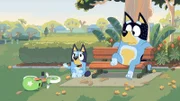 L-R: Bluey, Bandit