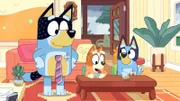 L-R: Bandit, Bingo, Bluey