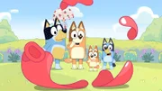 L-R: Bandit, Chilli, Bingo, Bluey