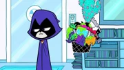 Raven