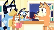 L-R: Bandit, Bingo, Bluey, Chilli