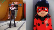 L-R: Hawk Moth, Ladybug