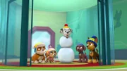 L-R: Rubble, Skye, Marshall, Zuma, Chase