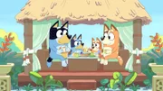 L-R: Bandit, Bluey, Bingo, Chilli