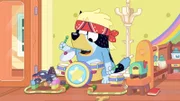 Bandit