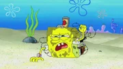 SpongeBob