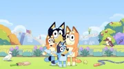 L-R: Bingo, Bandit, Bluey, Chilly