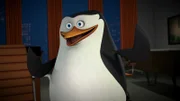 Skipper