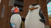 L-R: Hans, Skipper