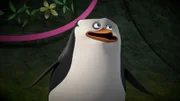Skipper