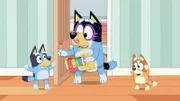 L-R: Bluey, Bandit, Bingo