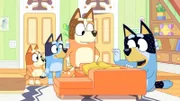 L-R: Bingo, Bluey, Chilli, Bandit