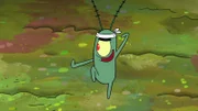 Plankton