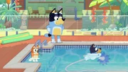 L-R: Bingo, Bandit, Bluey