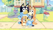 L-R: Bandit, Bingo, Bluey, Chilli