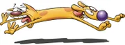 CatDog