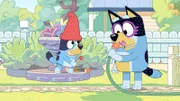 L-R: Bluey, Bandit