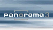 Logo Panorama 3