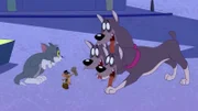 Tom und Jerry
