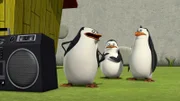 L-R: Skipper, Private, Rico