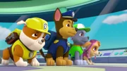 L-R: Rubble, Chase, Rocky, Skye