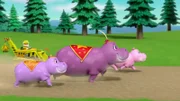 Rubble (l.), Baby hippos, Daisy (2.v.r.)