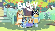 L-R: Chilli, Bluey, Bingo, Bandit