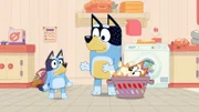 L-R: Bluey, Bandit, Bingo