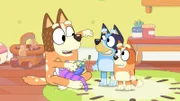 L-R: Chilli, Bluey, Bingo
