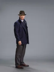 1. Staffel: Raymond 'Red' Reddington (James Spader).
