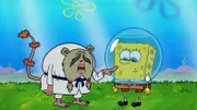 L-R: Fuzzy Acorns, SpongeBob
