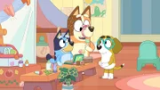 L-R: Bluey, Chilli, Honey