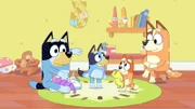 L-R: Bandit, Bluey, Bingo, Chilli