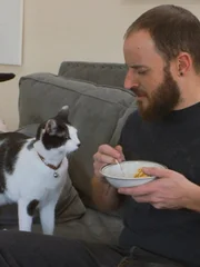 Cat trying to eat guardians food.