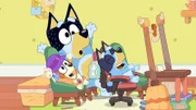 L-R: Bingo, Bandit, Bluey