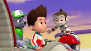 L-R: Rocky, Ryder, Captain Gordy
