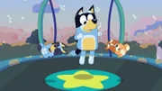 L-R: Bluey, Bandit, Bingo